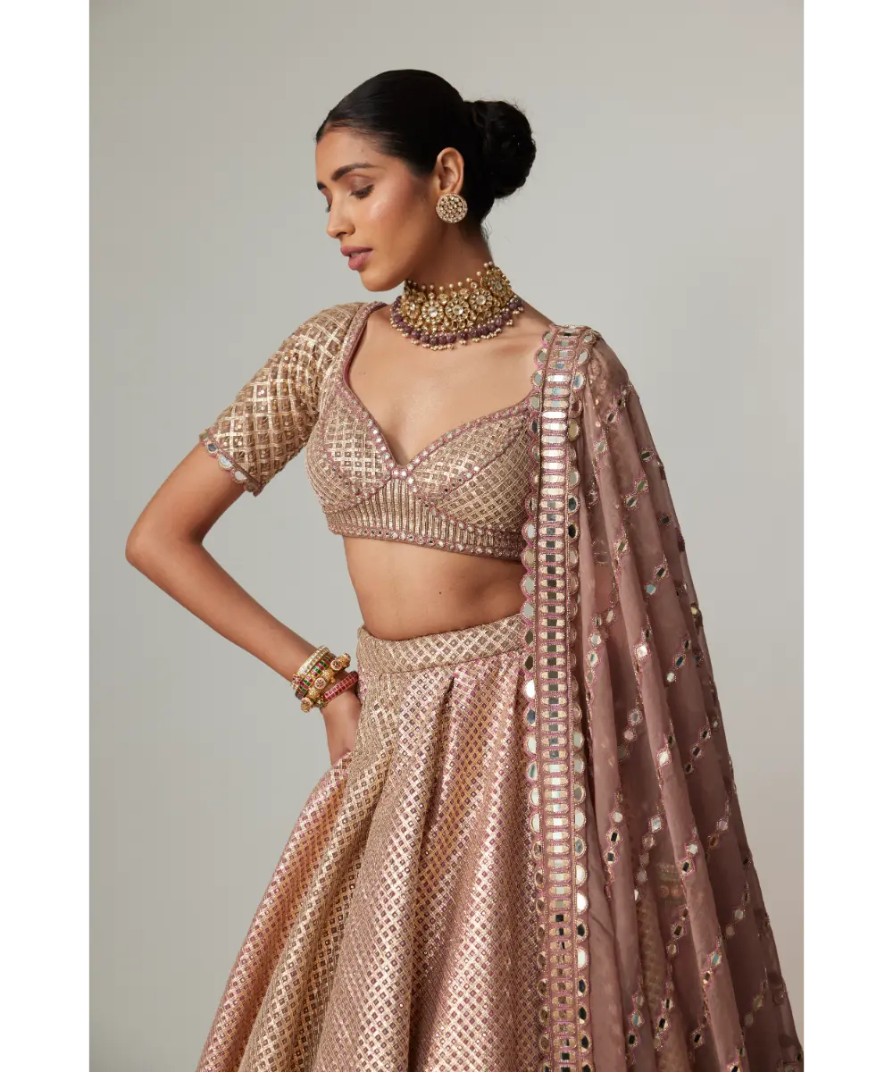 VVANI VATS - Deep beige multicolor Metallic Lehenga Set